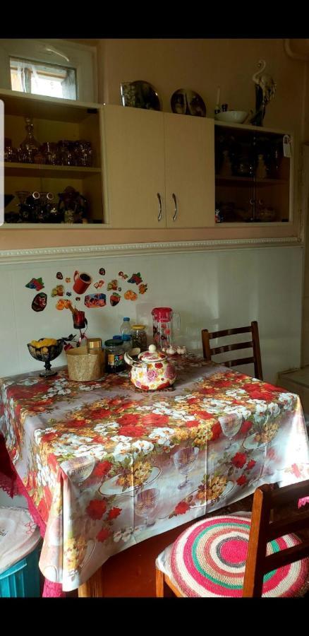 Guest House Dodo 卡兹贝吉 外观 照片